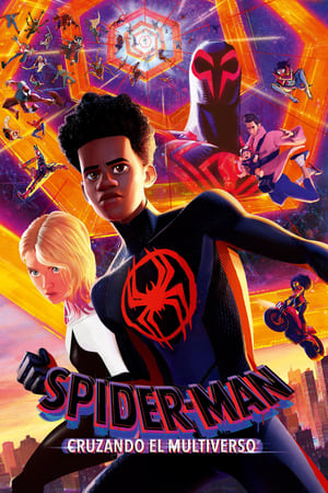 Spider-Man: Cruzando el multiverso