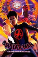 Spider-Man: Cruzando el multiverso