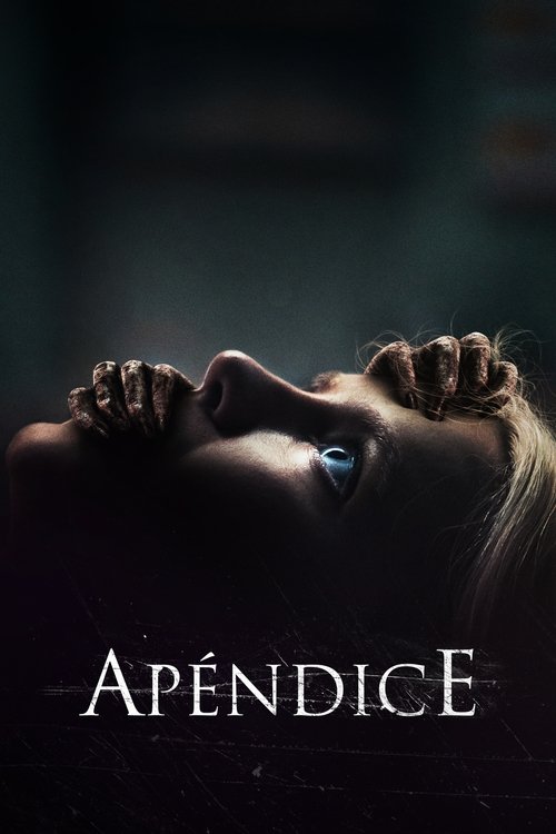 Apendice